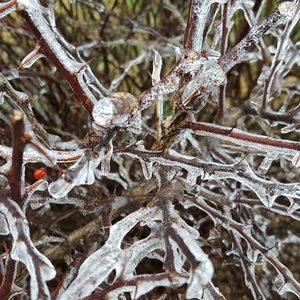 Meet your Posher, Lynne